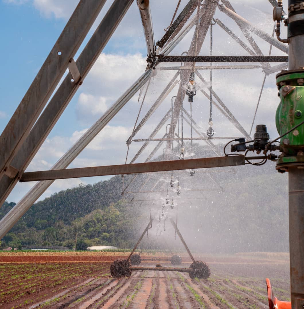 Irrigation-2
